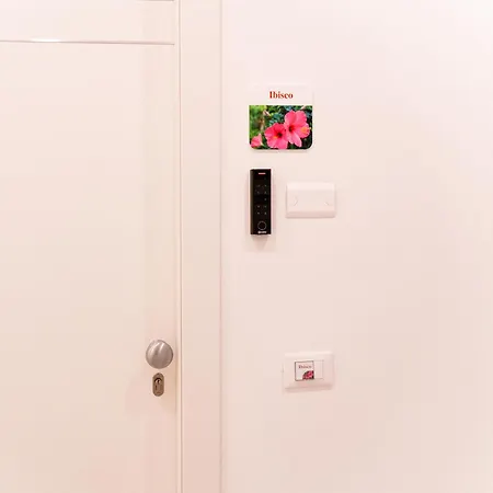 אכסניה Floral *